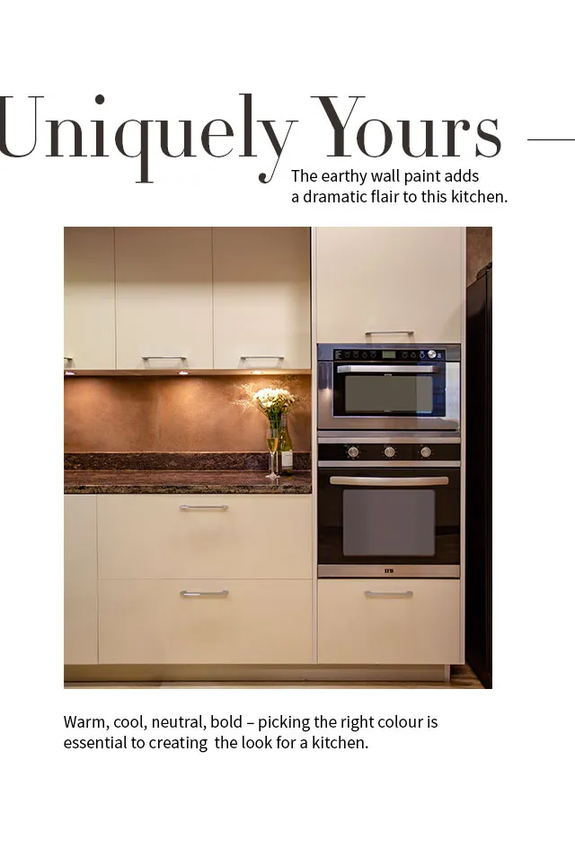 Uniquely Yours | IFB Modular Kitchen Wall Paint